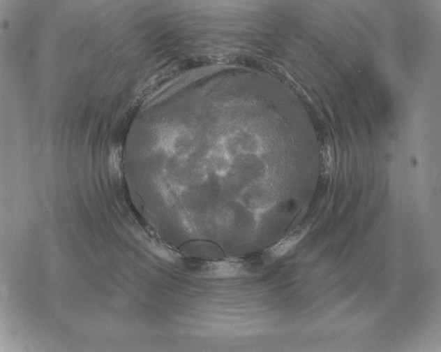 X0000070360286200606301838