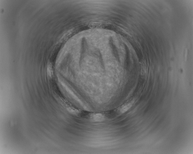 X0000070360287200606301838