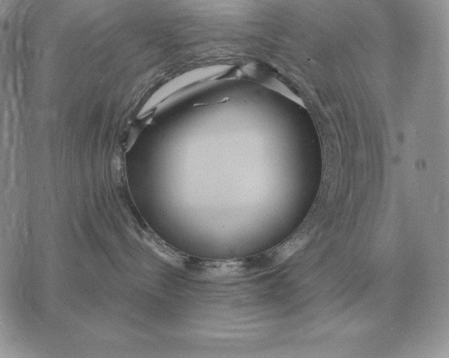 X0000070360288200606301838