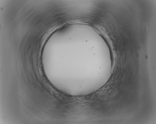 X0000070360289200606301838