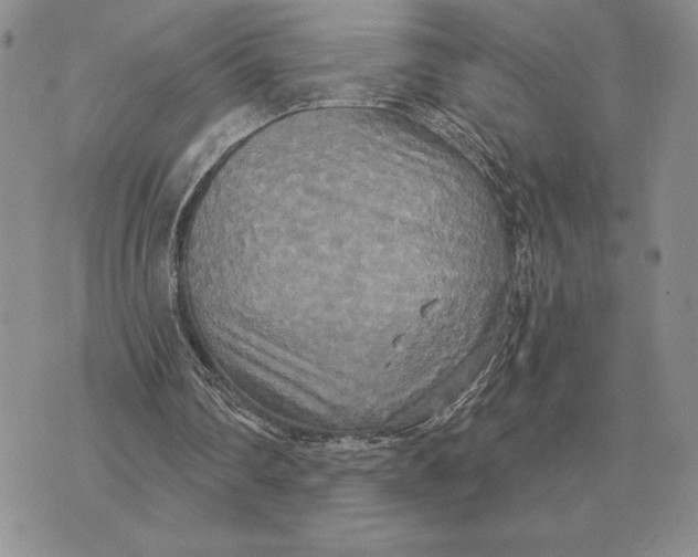 X0000070360290200606301838