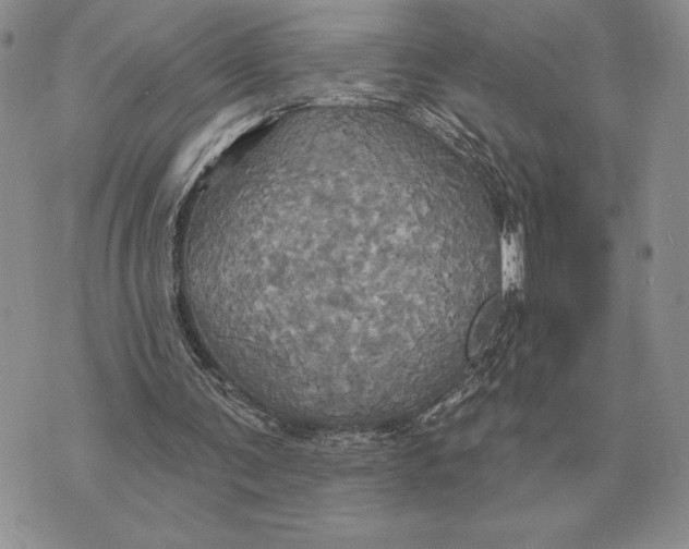 X0000070360291200606301838