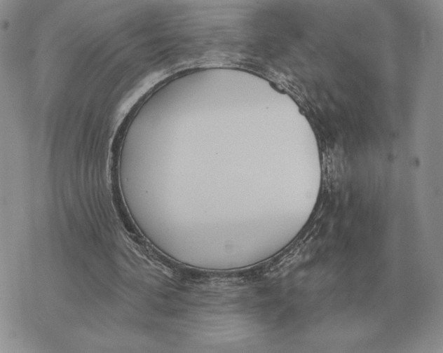 X0000070360292200606301838