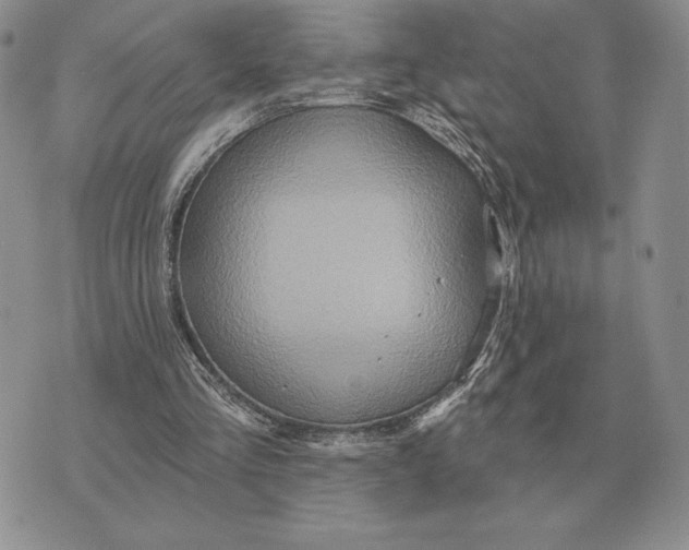 X0000070360293200606301838