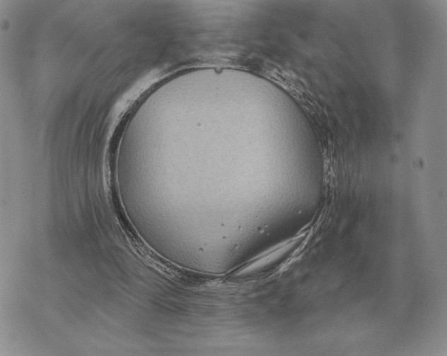 X0000070360294200606301838