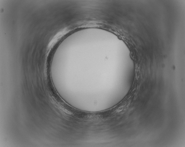 X0000070360296200606301837