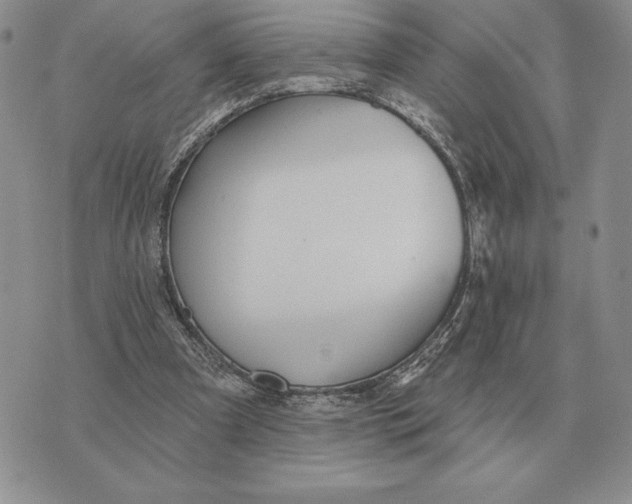 X0000070360297200606301837