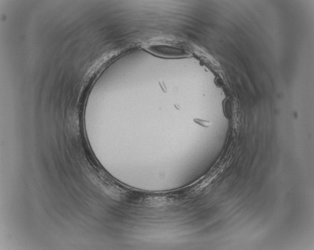 X0000070360298200606301837