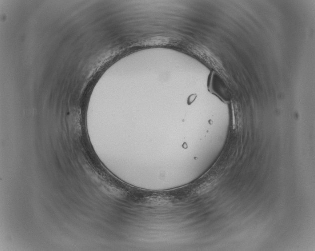 X0000070360300200606301837