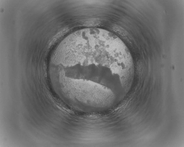 X0000070360303200606301837