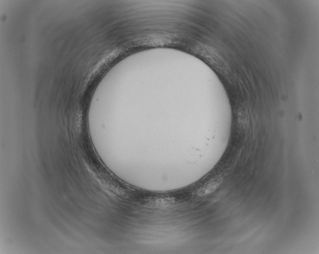 X0000070360304200606301837