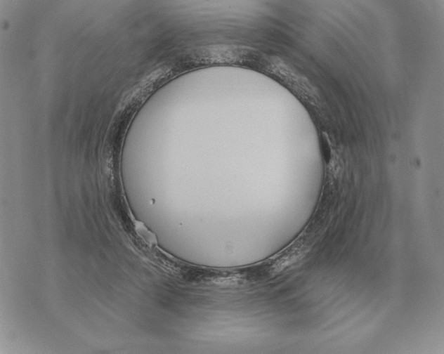 X0000070360306200606301837