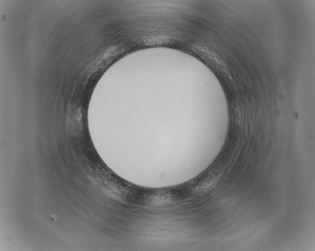 X0000070360308200606301837