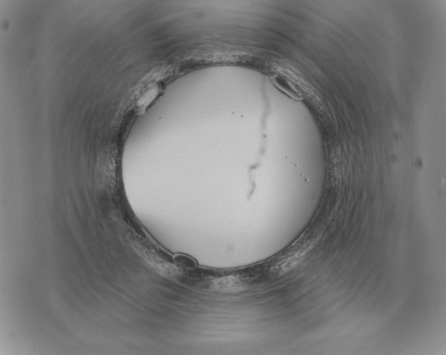 X0000070360309200606301837