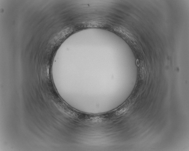 X0000070360310200606301837