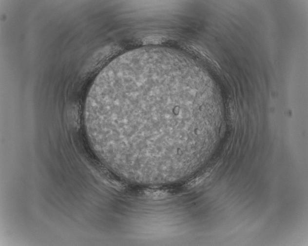 X0000070360311200606301837