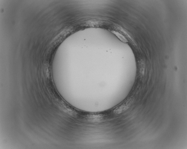 X0000070360313200606301837