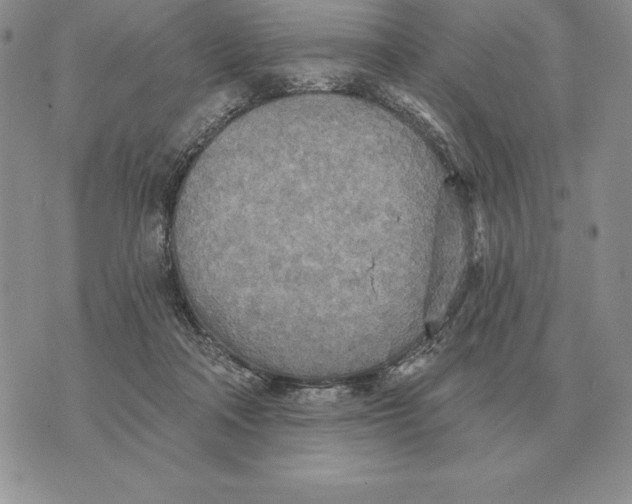 X0000070360314200606301837