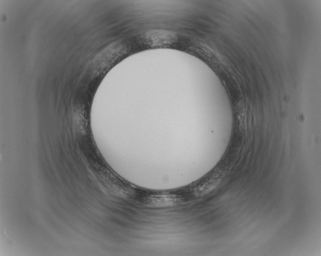 X0000070360316200606301837