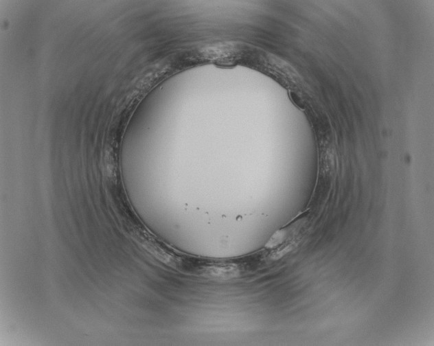 X0000070360317200606301837