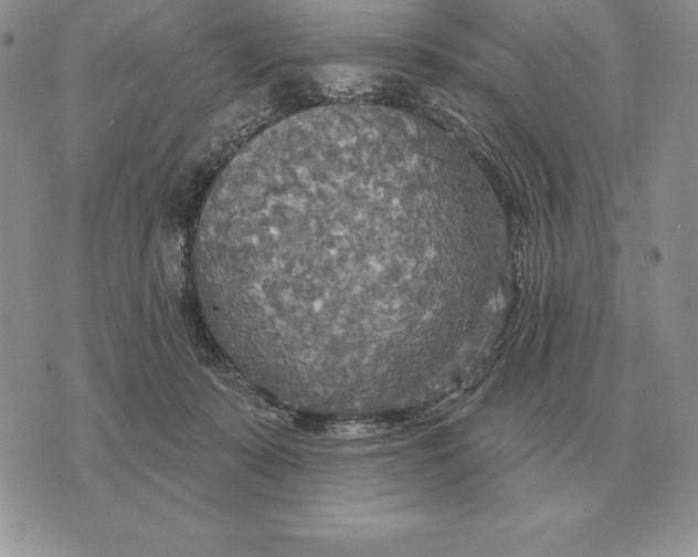 X0000070360319200606301837