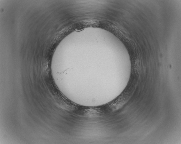 X0000070360320200606301837