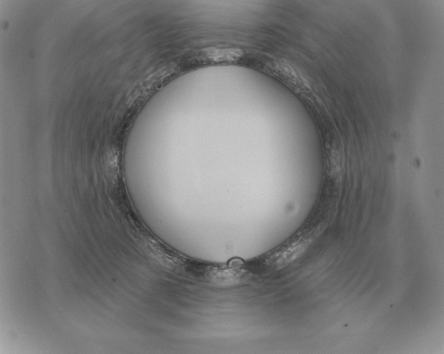 X0000070360321200606301837