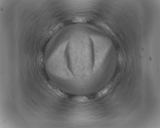 X0000070360322200606301837