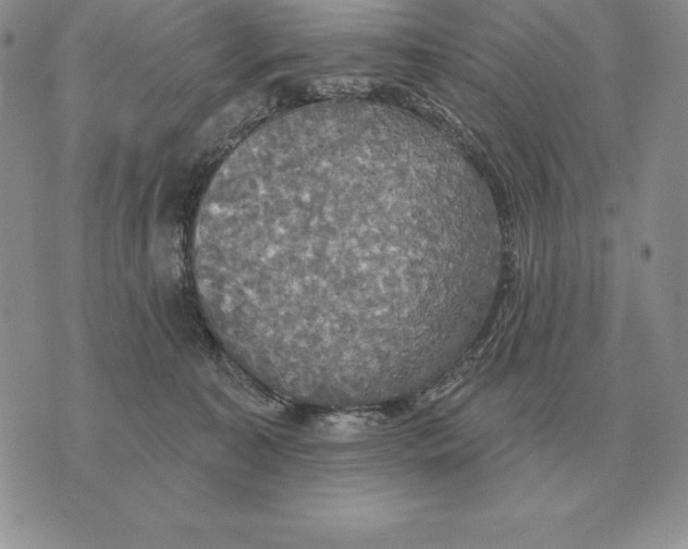 X0000070360323200606301837