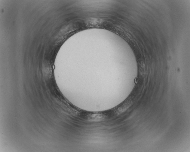 X0000070360324200606301837