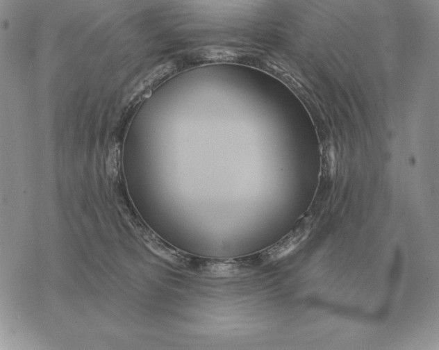 X0000070360325200606301837