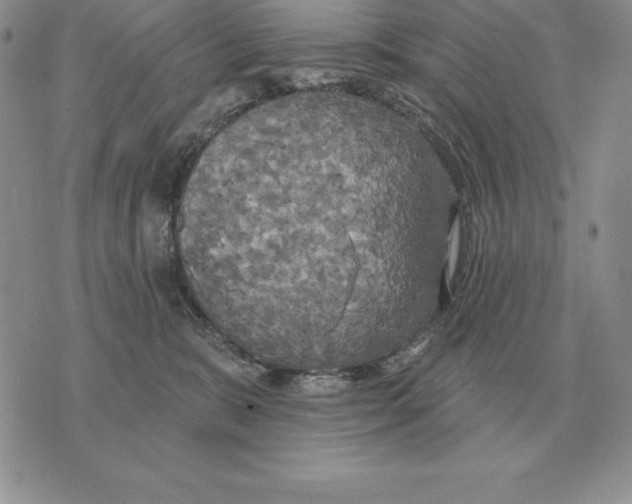 X0000070360327200606301837