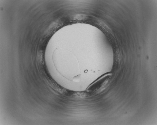 X0000070360328200606301837