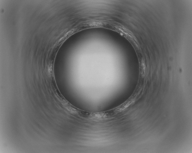 X0000070360329200606301837