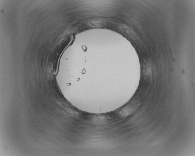 X0000070360332200606301837