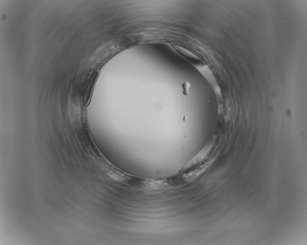 X0000070360333200606301837