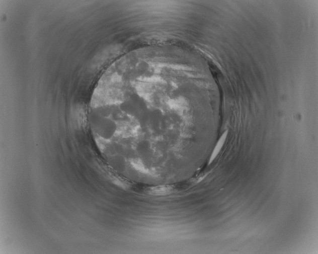 X0000070360335200606301837