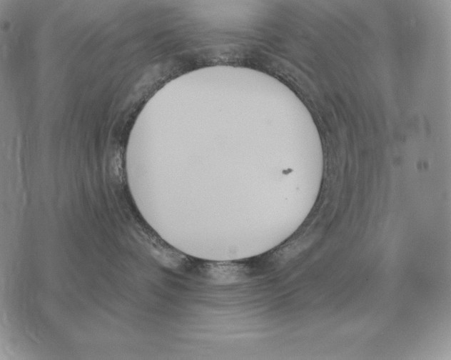 X0000070360336200606301837