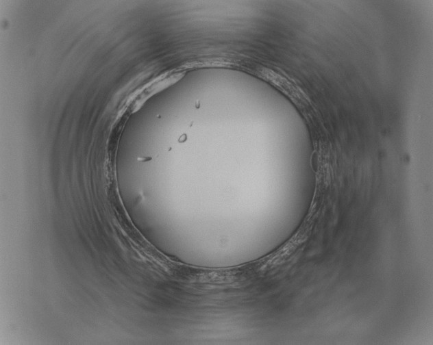 X0000070360338200606301836