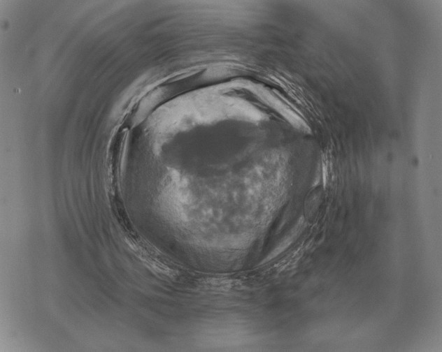 X0000070360339200606301836