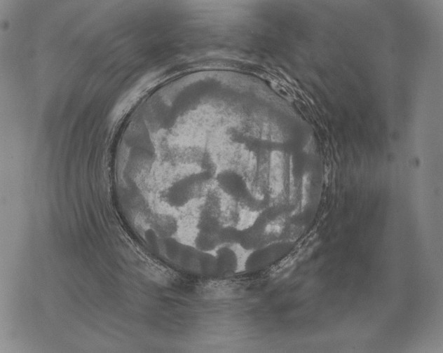 X0000070360341200606301836