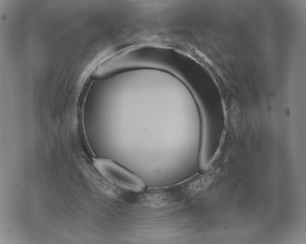 X0000070360344200606301836