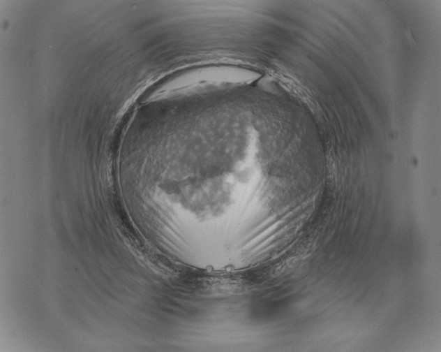 X0000070360347200606301836