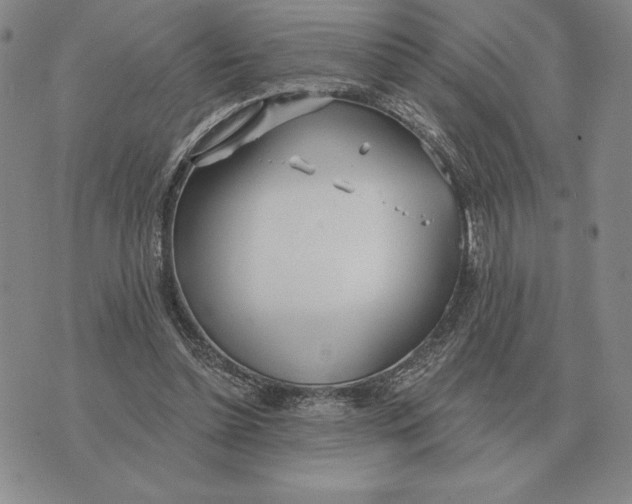 X0000070360348200606301836