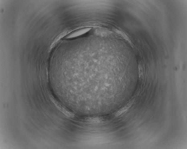 X0000070360349200606301836