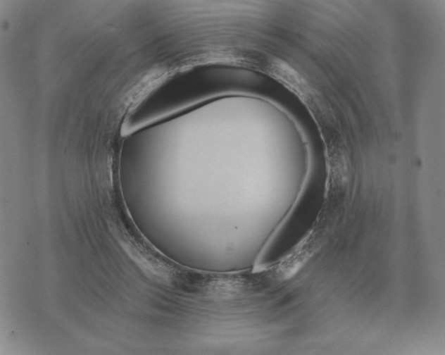 X0000070360350200606301836