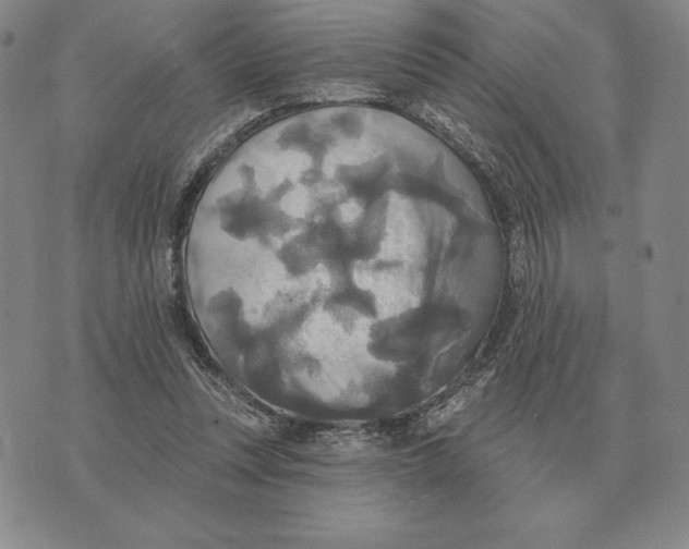 X0000070360351200606301836