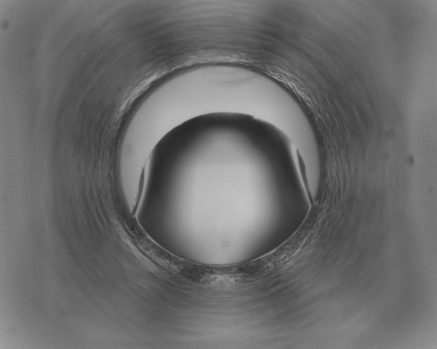 X0000070360352200606301836