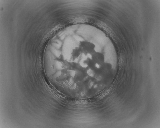 X0000070360353200606301836