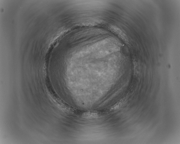 X0000070360354200606301836